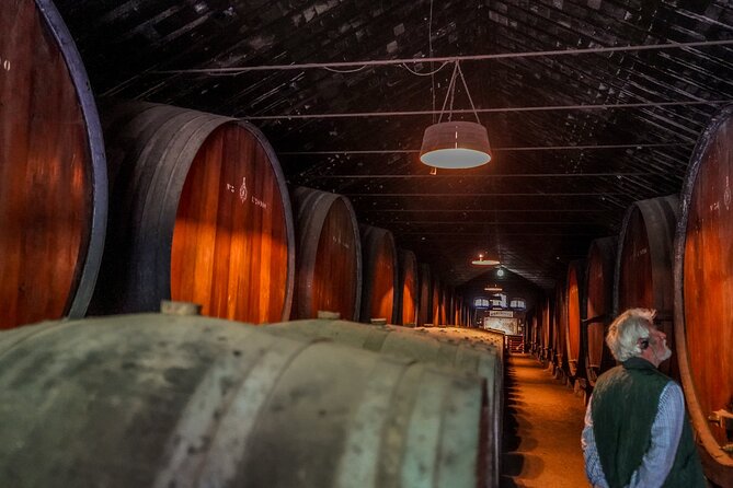 Douro Valley Private Day Trip from Lisbon: Vineyards & River View - What the Private Guide Adds