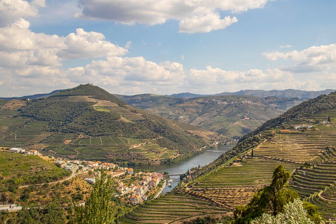 Douro Valley: private tour with lunch and wine estate all inclusive - The vineyard estate is the heart of the day