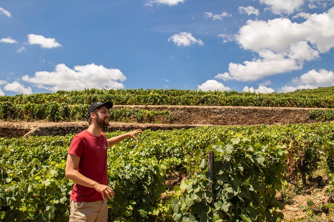 Douro Valley: private tour with lunch and wine estate all inclusive - São Leonardo da Galafura delivers the big view