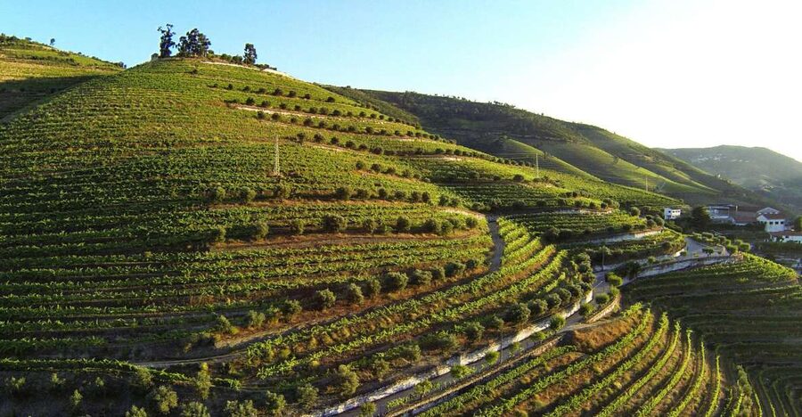 Douro Valley: Quinta de S. Luiz Winery Tour and Tasting - Inside the boutique winery