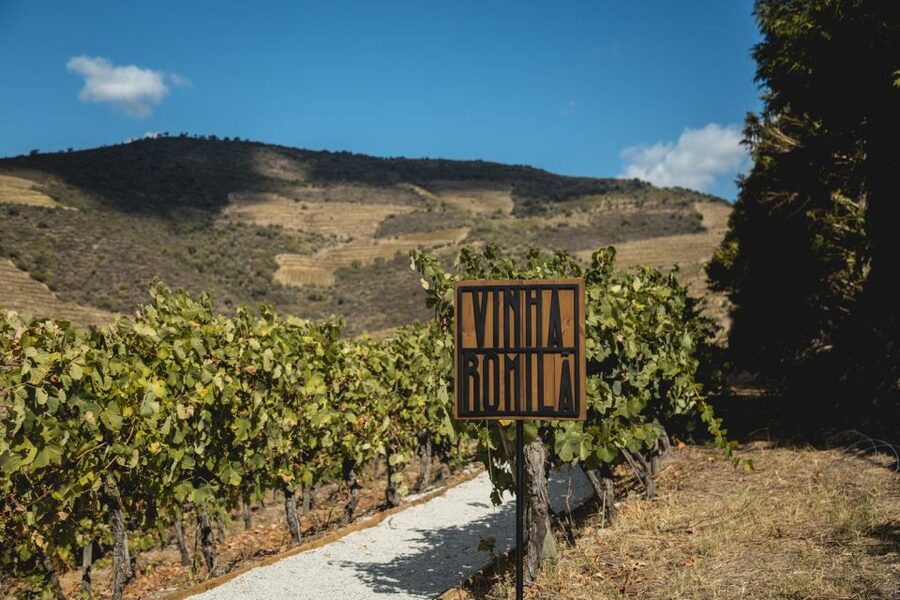 Douro Valley: Quinta de S. Luiz Winery Tour and Tasting - Choosing between the classic and premium tasting