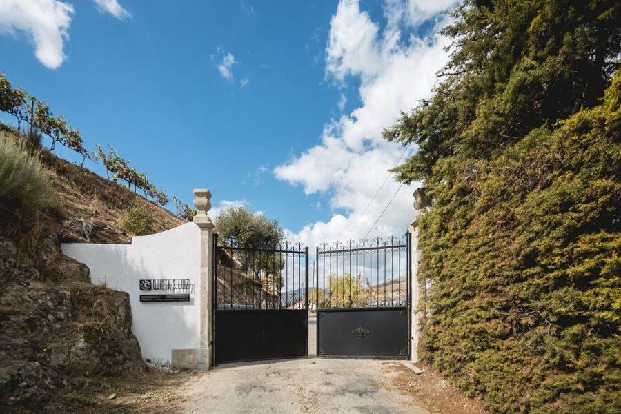 Douro Valley: Quinta de S. Luiz Winery Tour and Tasting - Is $25 a fair price?
