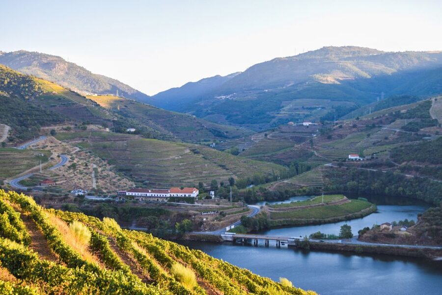 Douro Valley: Quinta do Tedo Wine Experience with Picnic - Key points to know before booking