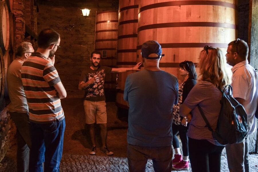 Douro Valley: Quinta do Tedo Wine Experience with Picnic - A Douro picnic with a proper sense of place