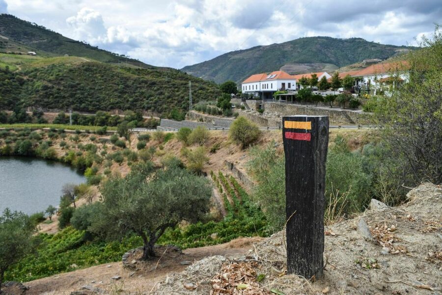 Douro Valley: Quinta do Tedo Wine Experience with Picnic - Touring the vinification center and cellars