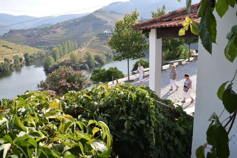 Douro Valley: Quinta do Tedo Wine Experience with Picnic - What you actually eat at lunch