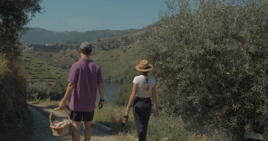 Douro Valley: Quinta do Tedo Wine Experience with Picnic - How much time you really need