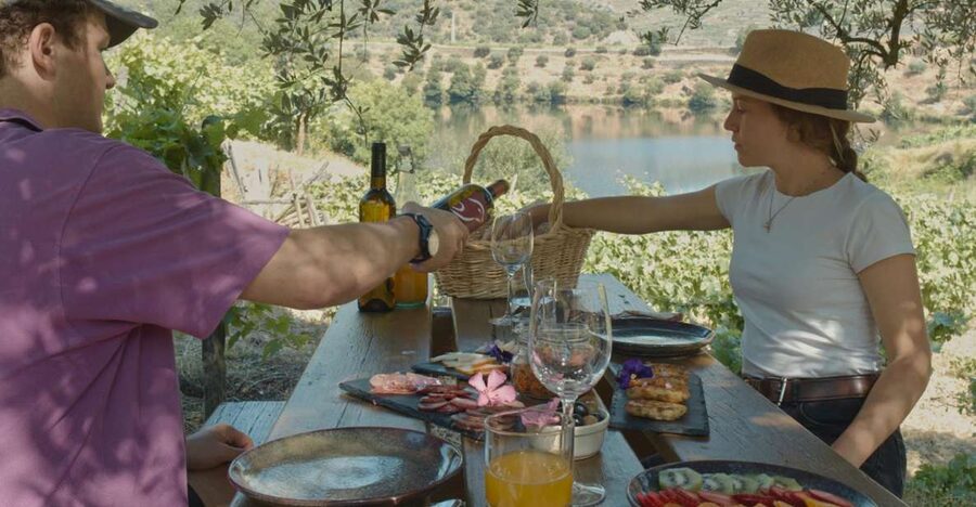 Douro Valley: Quinta do Tedo Wine Experience with Picnic - Private group, languages, and comfort