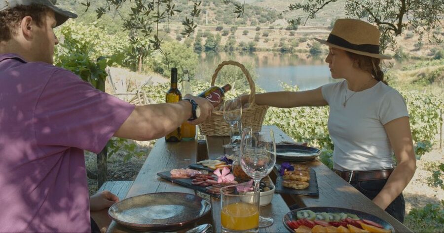 Douro Valley: Quinta do Tedo Wine Experience with Picnic - Arriving at Quinta do Tedo near Folgosa