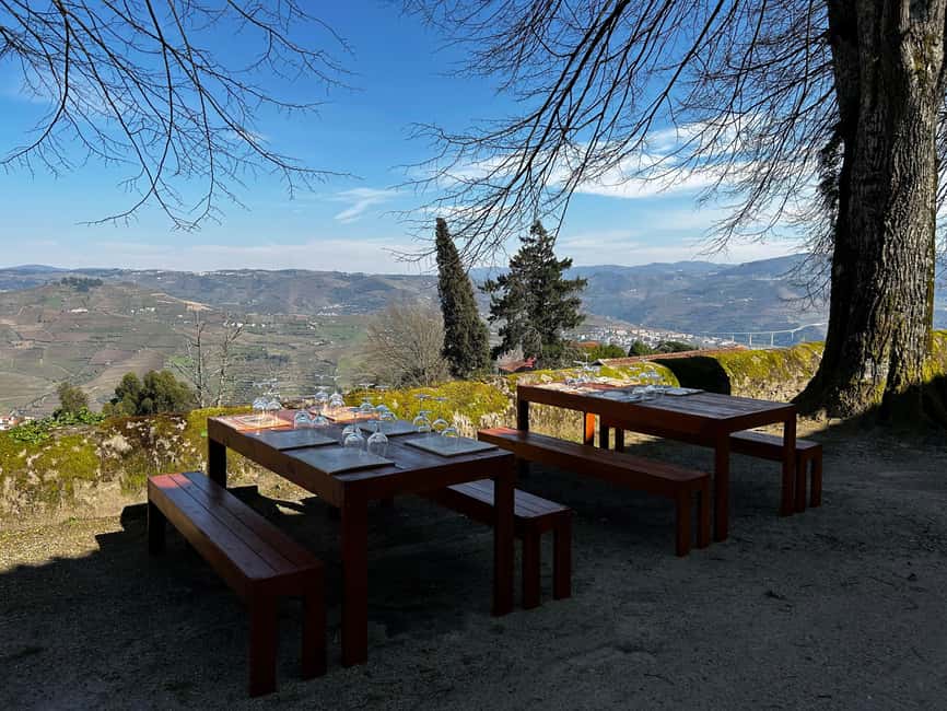 Douro Valley: Quinta Santa Júlia Tour, Wine Tasting & Lunch - Why Quinta Santa Júlia feels different from a quick winery stop