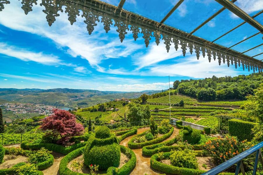 Douro Valley: Quinta Santa Júlia Tour, Wine Tasting & Lunch - Free time after lunch, with room to wander