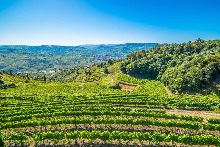 Douro Valley: Quinta Santa Júlia Tour, Wine Tasting & Lunch - FAQ
