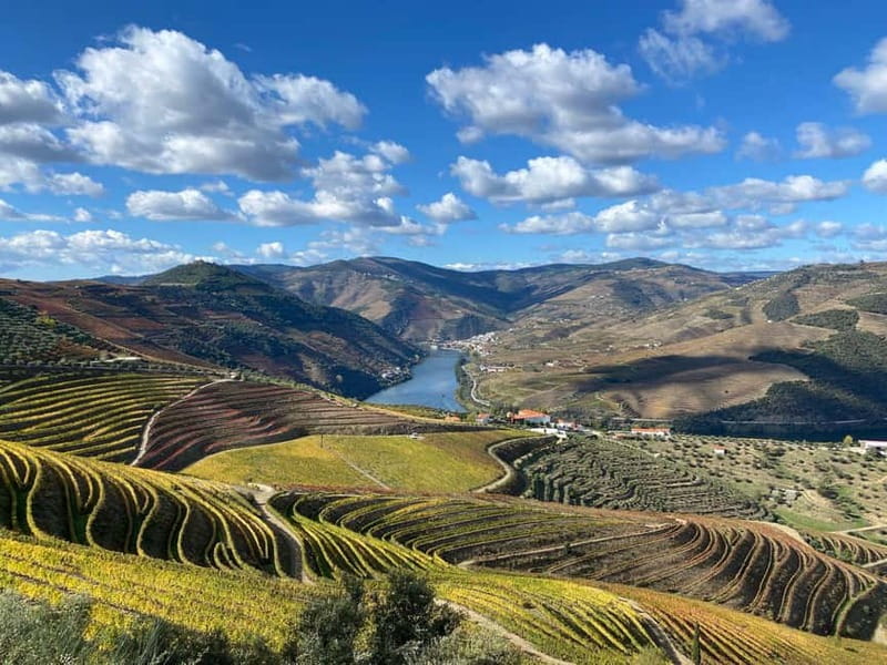 Douro Valley: Small-Group Tour, Winery's Lunch, Private Boat - A family-farm lunch with serious wine pairings