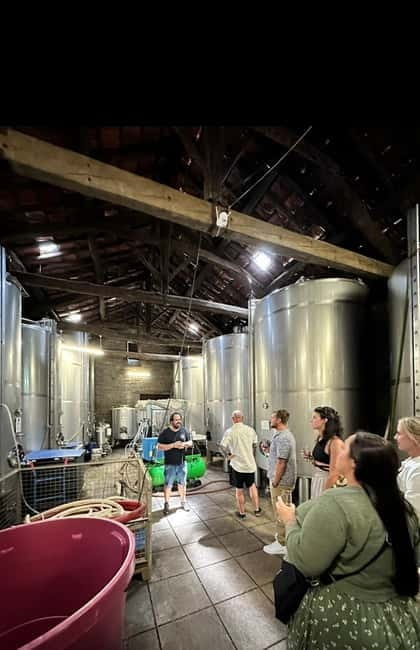 Douro Valley: Small-Group Tour, Winery's Lunch, Private Boat - The N222 and the ride back to Porto