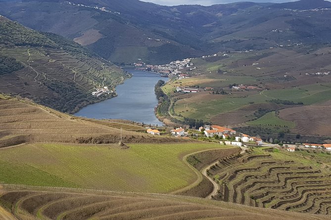 Douro Valley Tour: 2 Vineyard Visits, River Cruise, Winery Lunch - Why the Douro Valley makes a good day from Porto