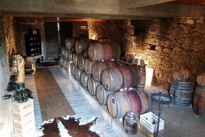 Douro Valley Tour: 2 Vineyard Visits, River Cruise, Winery Lunch