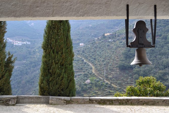 Douro Valley Tour: 2 Vineyard Visits, River Cruise, Winery Lunch - A four-course lunch in Sabrosa