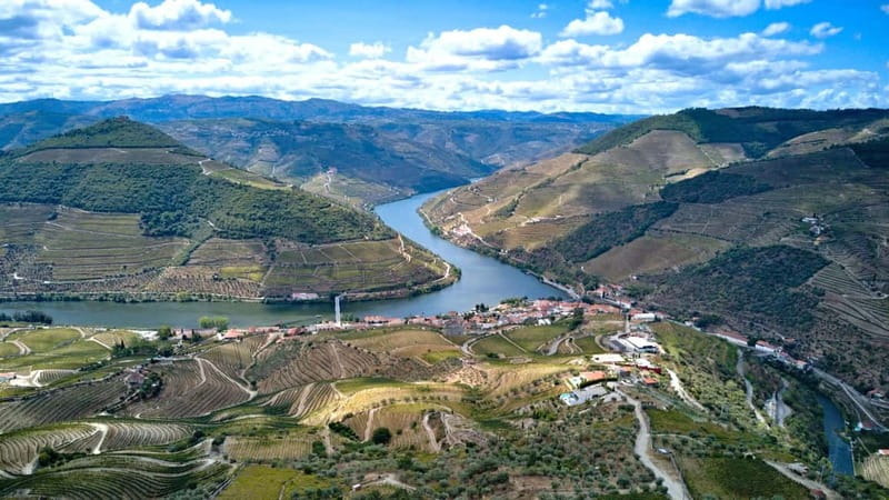 Douro Valley Tour: Visit 2 Wineries, Lunch & River Cruise - Is $116 good value?