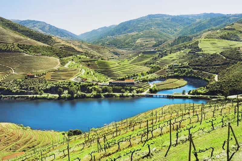 Douro Valley Tour: Visit 2 Wineries, Lunch & River Cruise - Why the Douro Valley deserves a full day