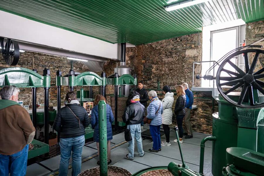 Douro Valley Tour: Visit 2 Wineries, Lunch & River Cruise - What the guides add to the day