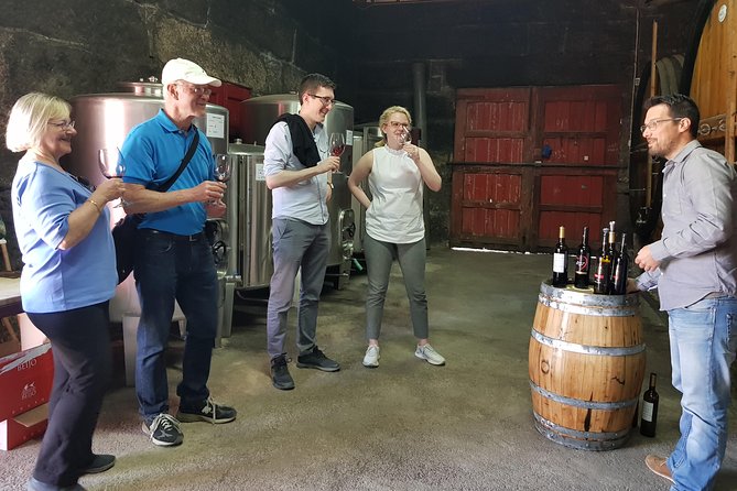 Douro Valley Wine Tour: 3 Vineyard Visits, Wine Tastings, Lunch - Folgosa and the Port-focused middle stop