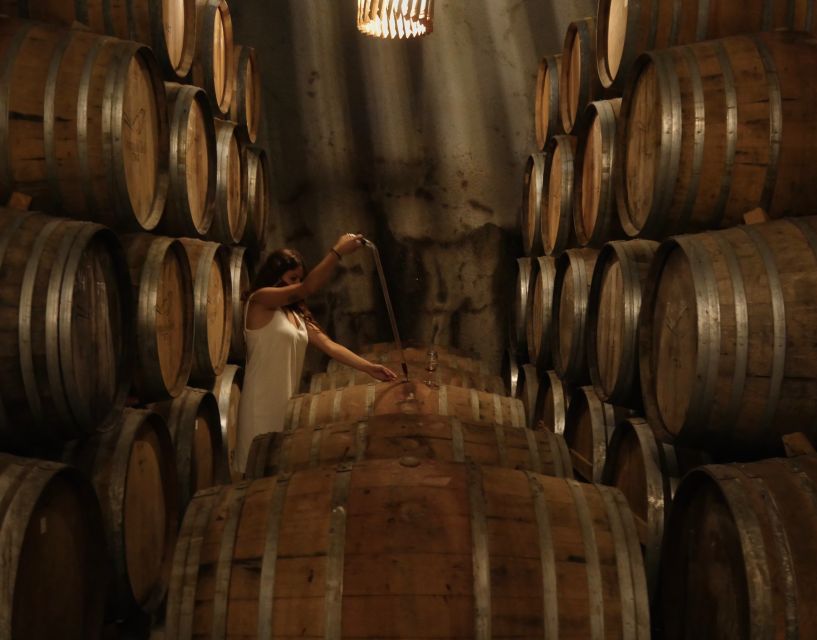 Douro Valley: Winery Tour at Quinta do Tedo and Tastings - Should you book Quinta do Tedo?
