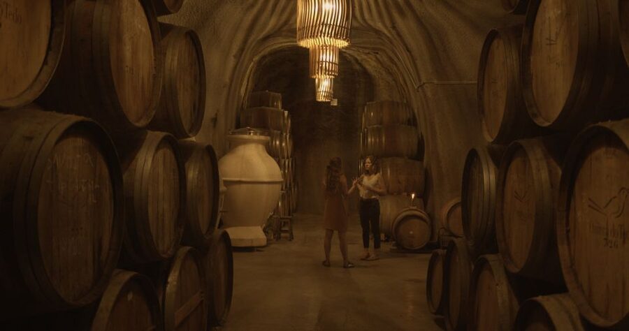 Douro Valley: Winery Tour at Quinta do Tedo and Tastings - Why organic, estate-grown grapes matter here