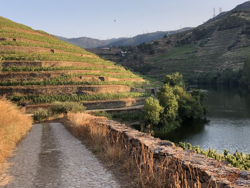 Douro Valley: Winery Tour at Quinta do Tedo and Tastings - A close look at the 65-minute schedule