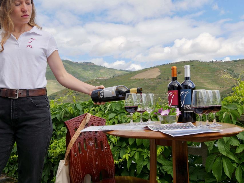 Douro Valley: Winery Tour at Quinta do Tedo and Tastings - Access, languages, and practical planning