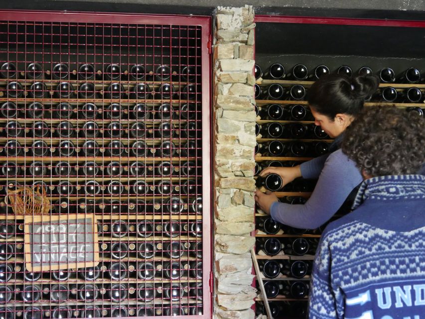 Douro Valley: Winery Tour at Quinta do Tedo and Tastings - Who will enjoy Quinta do Tedo most?