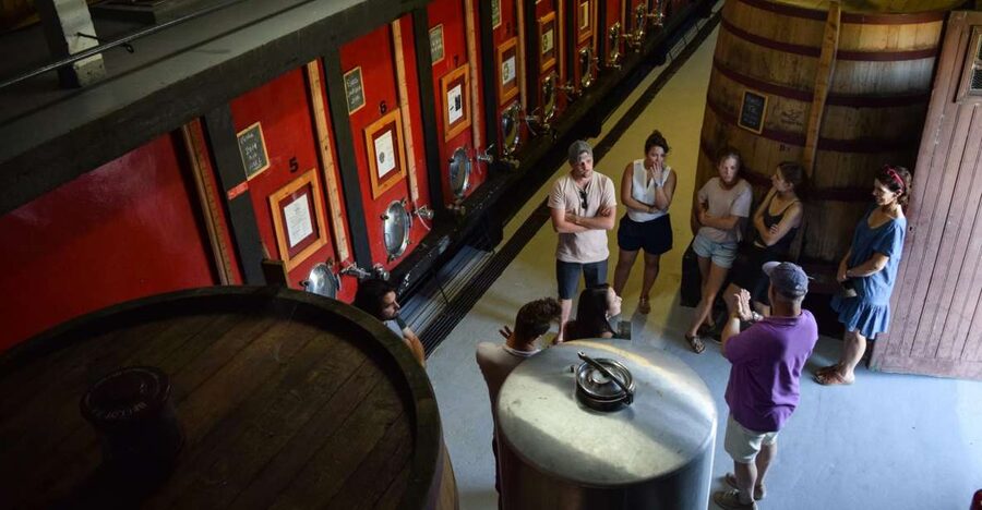 Douro Valley: Winery Tour at Quinta do Tedo and Tastings - Following grapes from vine to bottle
