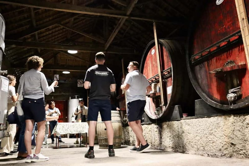 Douro Valley: Winery, Traditional Lunch & Private Boat Trip - Should you book the VINIOTOURS Douro day?