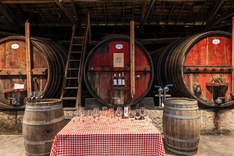 Douro Valley: Winery, Traditional Lunch & Private Boat Trip - Who will enjoy this day most?