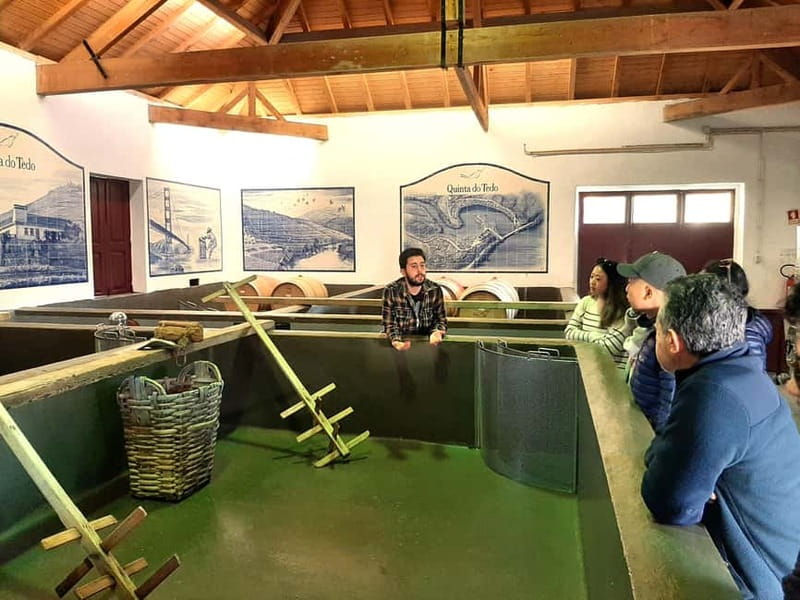 Douro Valley: Winery, Traditional Lunch & Private Boat Trip - Viewpoints that put the valley into focus