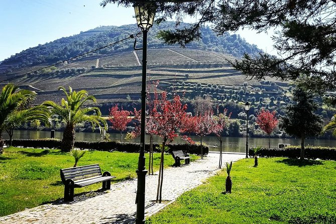 Douro Valley with Two Winery, Boat Trip and Lunch From Porto - The small producer near Pinhão