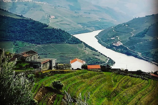 Hand-built schist terraces of vines above the Douro river