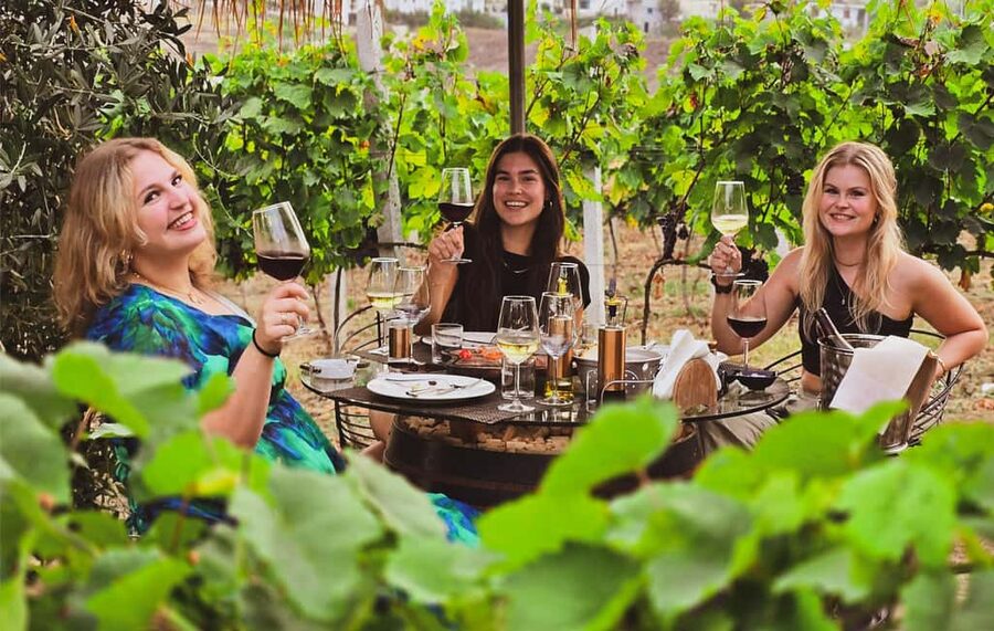 Durres Countryside Vineyards Wine Tasting & Food Pairing - From Durrës to the hills above the Adriatic