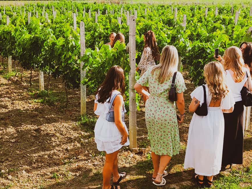 Durres Countryside Vineyards Wine Tasting & Food Pairing - Walking the vines and reading the local terroir