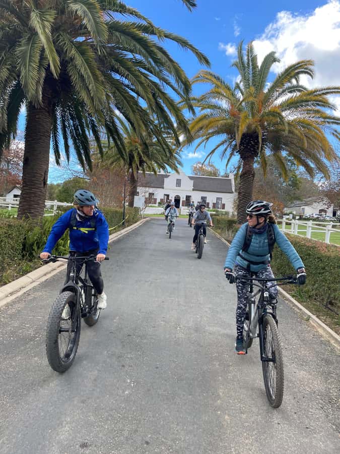 E-Bike Stellenbosch Winelands - Full Day Private Tour - The return by open safari vehicle