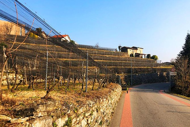 E-Bike Tour Lake Como and Swiss Vineyards - How difficult is the 25-kilometer route?