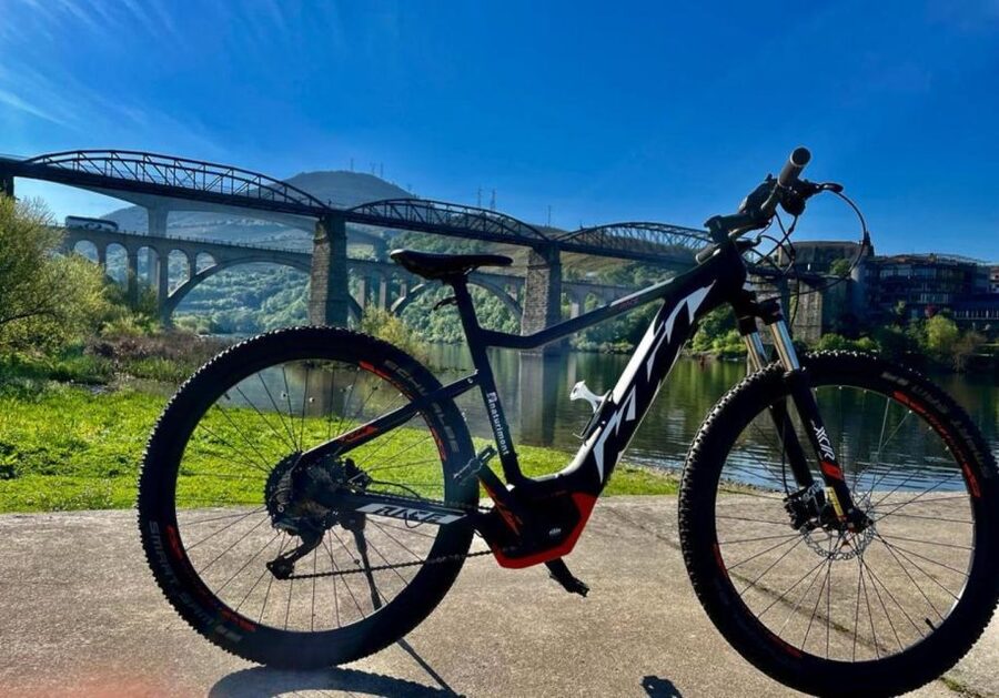 E-MTB - Vineyards Douro Tour - Key points at a glance
