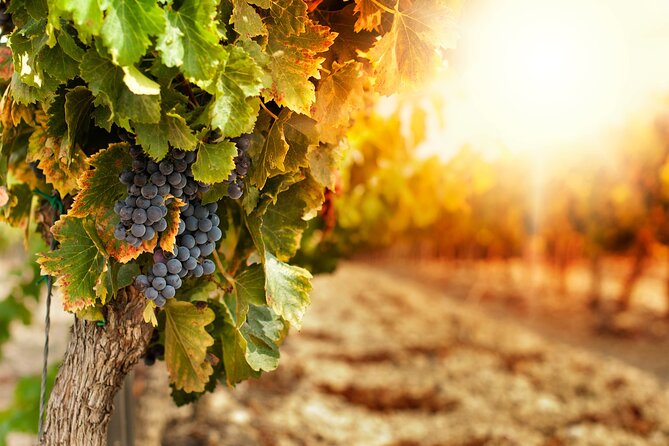 East Kelowna Half-Day Guided Wine Tour With 4 Wineries - The View Winery in a 1920s-era building