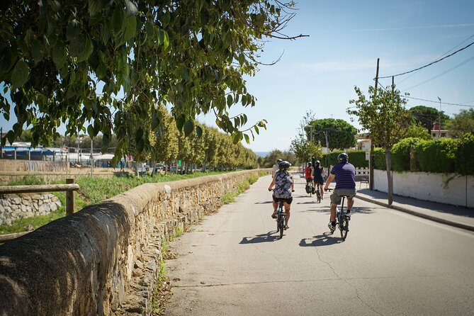 Ebike Tour, Winery, Wine Tasting & Sailing Experience(car option) - Price, inclusions, and real value at $108