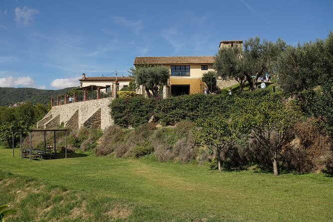Ebike Tour, Winery, Wine Tasting & Sailing Experience(car option) - Weather, clothing, and practical preparation
