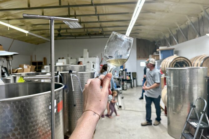EBIKE Winery Tour in Penrose, Colorado: Penrose Uncorked - Starting at Bugling Elk Vineyard
