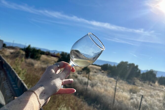 EBIKE Winery Tour in Penrose, Colorado: Penrose Uncorked - Brush Hollow Winery: wine, cider, and food