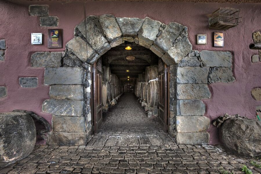 El Sauzal: Winery Tour and Mojo Sauce Workshop - What the winery tour actually adds