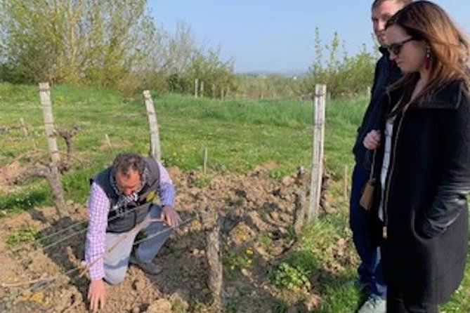 English Speaking Loire Winery Tours originating from Chinon - The full-day version and its three-course picnic