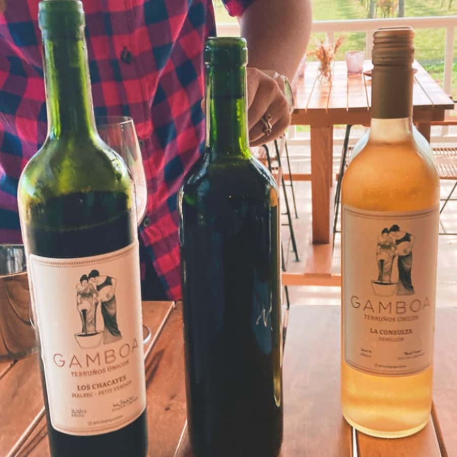 Enjoy a Rural Experience in a Vineyard near Buenos Aires - Five hectares of vines and three Argentine varieties