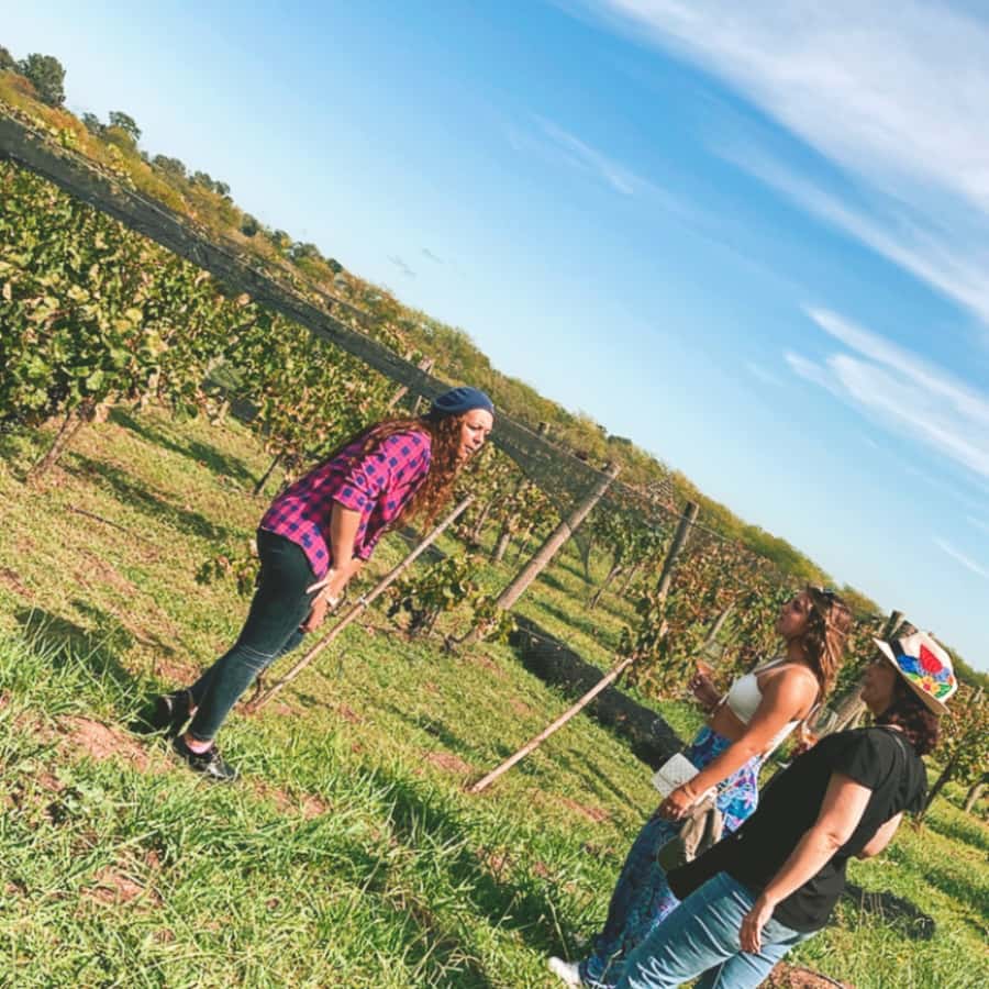 Enjoy a Rural Experience in a Vineyard near Buenos Aires - A four-course lunch in the country restaurant